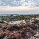1/800 seconds, f/5.6, 250, edited